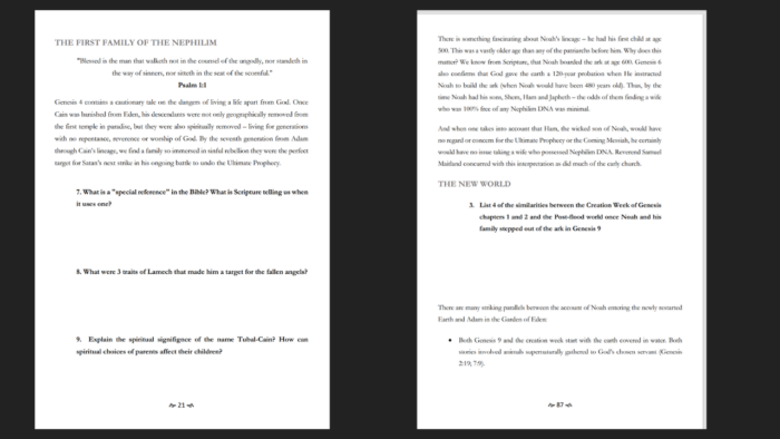 JUDGMENT OF THE NEPHILIM STUDY GUIDE - PAPERBACK - Image 2
